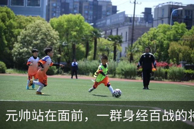 元帅站在面前，一群身经百战的将领没人敬礼，刘伯承沉默转身